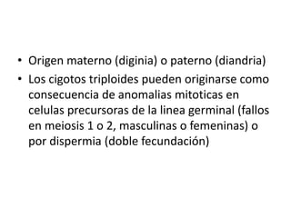• Origen materno (diginia) o paterno (diandria)
• Los cigotos triploides pueden originarse como
consecuencia de anomalias mitoticas en
celulas precursoras de la linea germinal (fallos
en meiosis 1 o 2, masculinas o femeninas) o
por dispermia (doble fecundación)
 