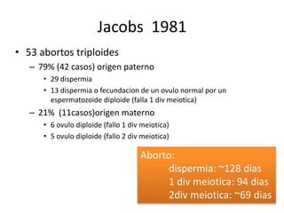 Jacobs 1981
• 53 abortos triploides
– 79% (42 casos) origen paterno
• 29 dispermia
• 13 dispermia o fecundacion de un ovulo normal por un
espermatozoide diploide (falla 1 div meiotica)
– 21% (11casos)origen materno
• 6 ovulo diploide (fallo 1 div meiotica)
• 5 ovulo diploide (fallo 2 div meiotica)
Aborto:
dispermia: ~128 dias
1 div meiotica: 94 dias
2div meiotica: ~69 dias
 