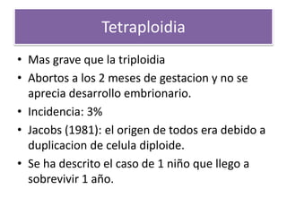 Tetraploidia
• Mas grave que la triploidia
• Abortos a los 2 meses de gestacion y no se
aprecia desarrollo embrionario.
• Incidencia: 3%
• Jacobs (1981): el origen de todos era debido a
duplicacion de celula diploide.
• Se ha descrito el caso de 1 niño que llego a
sobrevivir 1 año.
 