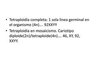 • Tetraploidia completa: 1 sola linea germinal en
el organismo (4n)…. 92XXYY
• Tetraploidia en mosaicismo. Cariotipo
diploide(2n)/tetraploide(4n)…. 46, XY, 92,
XXYY.
 