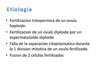 • Fertilizacion triespermica de un ovulo
haploide
• Fertilizacion de un ovulo diploide por un
espermatozoide diploide
• Falla de la separacion citoplasmatica durante
la 1 division mitotica de un ovulo fertilizado.
• Fusion de 2 celulas fertilizadas
 