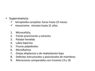 • Supervivencia:
 tetraploidia completa: horas hasta 22 meses
 mosaicismo: minutos hasta 21 años
1. Microcefalia,
2. Frente prominente y estrecha
3. Paladar hendido
4. Labio leporino
5. Fisuras palpebrales
6. Microftalmia
7. Orejas displasicas y de implantacion baja
8. Defectos estructurales y posicionales de miembros
9. Alteraciones comparables con trisomia 13 y 18
 