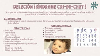DELECIÓN (SÍNDROME CRI-DU-CHAT )
DELECIÓN (SÍNDROME CRI-DU-CHAT )
Se origina por la eliminación de un segmento del brazo corto del cromosoma 5 en el que el tamaño de la deleción,
puede abarcar la totalidad del brazo corto o sólo la región crítica
DATO INTERESANTE
La esperanza de vida de estas personas está disminuida, aunque la mayoría alcanzan la edad adulta (alrededor
de los 50 años.
CARACTERÍSTICAS
Peso bajo
Microcefalia
Cara redonda
Puente nasal largo
Llanto parecido al “maullido de gato
Anomalías laríngeas
Labio inferior prominente y maloclusión
dental
Desarrollo retardado
Deficit intelectual grave
PUEDEN DESARROLLAR:
Anomalías cardiacas
Neurológicas y renales
Preauriculares
Sindactilia
Hipospadias y criptorquidia
 