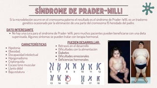 SÍNDROME DE PRADER-WILLI
SÍNDROME DE PRADER-WILLI
Si la microdeleción ocurre en el cromosoma paterno el resultado es el síndrome de Prader-Willi, es un trastorno
genético ocasionado por la eliminación de una parte del cromosoma 15 heredado del padre.
DATO INTERESANTE
No hay una cura para el síndrome de Prader-Willi, pero muchos pacientes pueden beneficiarse con una dieta
supervisada. Algunos síntomas se pueden tratar con terapia hormonal.
CARACTERÍSTICAS
Hipotonía
Obesidad,
Discapacidad intelectual
Hipogonadismo
Criptorquidia
Escaso tono muscular
Llanto débil
Baja estatura
PUEDEN DESARROLLAR:
Retrasos en el desarrollo
Dificultades con la alimentación
Diabetes
Dificultades emocionales
Deficiencias hormonales
 