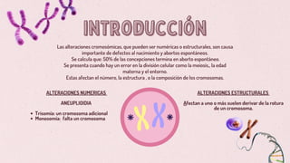 introducción
introducción
Las alteraciones cromosómicas, que pueden ser numéricas o estructurales, son causa
importante de defectos al nacimiento y abortos espontáneos.
Se calcula que: 50% de las concepciones termina en aborto espontáneo.
Se presenta cuando hay un error en la división celular como la meiosis,, la edad
materna y el entorno.
Estas afectan el número, la estructura , o la composición de los cromosomas.
ALTERACIONES NUMERICAS
ANEUPLIOIDIA
Trisomía: un cromosoma adicional
Monosomía: falta un cromosoma
ALTERACIONES ESTRUCTURALES
Afectan a uno o más suelen derivar de la rotura
de un cromosoma.
 