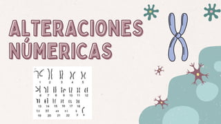 ALTERACIONES
ALTERACIONES
NÚMERICAS
NÚMERICAS
 