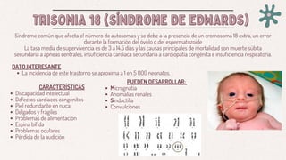 TRISOMIA 18 (SÍNDROME DE EDWARDS)
TRISOMIA 18 (SÍNDROME DE EDWARDS)
Síndrome común que afecta el número de autosomas y se debe a la presencia de un cromosoma 18 extra, un error
durante la formación del óvulo o del espermatozoide
La tasa media de supervivencia es de 3 a 14.5 días y las causas principales de mortalidad son muerte súbita
secundaria a apneas centrales, insuficiencia cardiaca secundaria a cardiopatía congénita e insuficiencia respiratoria.
DATO INTERESANTE
La incidencia de este trastorno se aproxima a 1 en 5 000 neonatos.
CARACTERÍSTICAS
Discapacidad intelectual
Defectos cardiacos congénitos
Piel redundante en nuca
Delgados y frágiles
Problemas de alimentación
Espina bífida
Problemas oculares
Pérdida de la audición
PUEDEN DESARROLLAR:
Micrognatia
Anomalías renales
Sindactilia
Convulciones
 