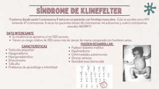 SÍNDROME DE KLINEFELTER
SÍNDROME DE KLINEFELTER
Trastorno donde existe 1 cromosoma X extra en un paciente con fenotipo masculino . Esto se escribe como XXY,
teniendo 47 cromosomas. A veces los pacientes tienen 48 cromosomas: 44 autosomas y cuatro cromosomas
sexuales (48,XXXY).
DATO INTERESANTE
Su incidencia se aproxima a 1 en 500 varones.
Tienen un riesgo relativo de 200 veces más de cáncer de mama comparado con hombres sanos.
CARACTERÍSTICAS
Testículos pequeños
Hipogonadismo
Hipergonadotrófico
Ginecomastia
Talla alta
Problemas de aprendizaje e infertilidad
PUEDEN DESARROLLAR:
Padecer diabetes mellitus
Hipotiroidismo
Enfermedades autoinmunes
Úlceras venosas
Densidad ósea disminuida
 