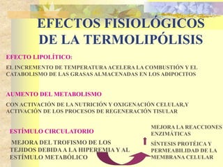 EFECTOS FISIOLÓGICOS 
DE LA TERMOLIPÓLISIS 
EFECTO LIPOLÍTICO: 
EL INCREMENTO DE TEMPERATURA ACELERA LA COMBUSTIÓN Y EL 
CATABOLISMO DE LAS GRASAS ALMACENADAS EN LOS ADIPOCITOS 
AUMENTO DEL METABOLISMO 
CON ACTIVACIÓN DE LA NUTRICIÓN Y OXIGENACIÓN CELULAR,Y 
ACTIVACIÓN DE LOS PROCESOS DE REGENERACIÓN TISULAR 
ESTÍMULO CIRCULATORIO 
MEJORA DEL TROFISMO DE LOS 
TEJIDOS DEBIDA A LA HIPEREMIA Y AL 
ESTÍMULO METABÓLICO 
MEJORA LA REACCIONES 
ENZIMÁTICAS 
SÍNTESIS PROTÉICA Y 
PERMEABILIDAD DE LA 
MEMBRANA CELULAR 
 