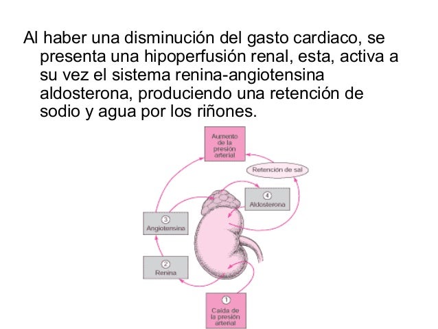 Que las mujeres piensan un pequeño miembro