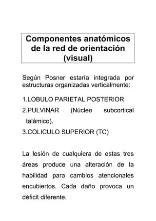 Componentes anatómicos
de la red de orientación
(visual)
Según Posner estaría integrada por
estructuras organizadas verticalmente:
1.LOBULO PARIETAL POSTERIOR
2.PULVINAR (Núcleo subcortical
talámico).
3.COLICULO SUPERIOR (TC)
La lesión de cualquiera de estas tres
áreas produce una alteración de la
habilidad para cambios atencionales
encubiertos. Cada daño provoca un
déficit diferente.
 