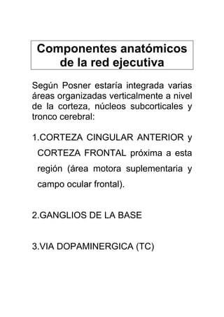 Componentes anatómicos
de la red ejecutiva
Según Posner estaría integrada varias
áreas organizadas verticalmente a nivel
de la corteza, núcleos subcorticales y
tronco cerebral:
1.CORTEZA CINGULAR ANTERIOR y
CORTEZA FRONTAL próxima a esta
región (área motora suplementaria y
campo ocular frontal).
2.GANGLIOS DE LA BASE
3.VIA DOPAMINERGICA (TC)
 