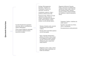 Queratosis
bacteriana
Es la más frecuente de las queratosis
infecciosas, debe ser considerada una
urgencia oftalmológica.
Úlcera corneal. Pérdida de continuidad
de la superficie epitelial asociada a
necrosis de los tejidos.
Signos. Opacidad redonda blanco-
grisácea en la córnea., úlcera corneal
(se acompaña de un defecto epitelial
que tiñe con fluoresceína, hipopión
(inflamación grave y estéril en la
cámara anterior).
Etiología. Microorganismos
bacterianos. Staphylococus,
Pseudomonas, Streptococus,
Moraxella y Serratia sp.
Pseudomonas aeuginosa. Capaz c
perforar la córnea en pocos días.
Factores de riesgo. Defecto en la capa
epitelial de la córnea, lentes de
contacto, enfermedad de la superficie
ocular, trauma quirúrgico, cuerpos
extraños y uso de esteroides tópicos.
Síntomas. Irritación ocular, secreción
mucopurulenta (color amarillo-
verdoso).
Paciente refiere lesión blanco-grisácea
cerca del área pupilar
Diagnóstico. Frotis y cultivo, úlceras
bacterianas (blanco amarillentas con
bordes bien definidos)
Diagnóstico diferencial. Descartar
hongos, protozoarios (Acanthamoeba),
queratitis por herpes simple, infección
por micobacteria atípica, queratitis
ulcerativa periférica, hipersensibilidad
por estafilococo y abuso de anestésicos
tópicos.
Tratamiento. Empírico. Antibiótico de
amplio espectro
Específico. De acuerdo con el frotis,
cultivo y antibiograma.
Fluoroquinolonas de cuarta generación
 