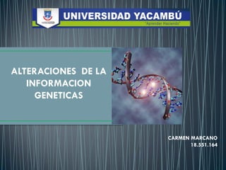 ALTERACIONES DE LA
INFORMACION
GENETICAS
CARMEN MARCANO
18.551.164
 