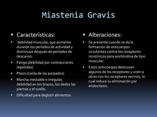 Miastenia Gravis
 Características:
 debilidad muscular, que aumenta
durante los períodos de actividad y
disminuye después de períodos de
descanso.
 Fatiga (debilidad por contracciones
repetidas)
 Ptosis (caída de los parpados)
 Marcha inestable o irregular,
debilidad en los brazos, los dedos las
piernas y el cuello.
 Dificultad para deglutir alimentos.
 Alteraciones:
 Se presenta cuando se da la
formación de anticuerpos
circulantes contra los receptores
nicotínicos para acetilcolina de tipo
muscular.
 Estos anticuerpos destruyen
algunos de los receptores y unen a
otros con los receptores vecinos, lo
cual induce su eliminación por
endocitosis.
 