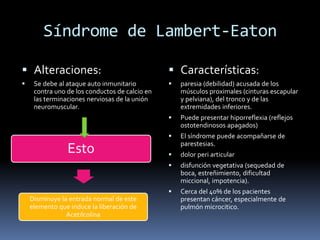 Síndrome de Lambert-Eaton
 Alteraciones:
 Se debe al ataque auto inmunitario
contra uno de los conductos de calcio en
las terminaciones nerviosas de la unión
neuromuscular.
 Características:
 paresia (debilidad) acusada de los
músculos proximales (cinturas escapular
y pelviana), del tronco y de las
extremidades inferiores.
 Puede presentar hiporreflexia (reflejos
ostotendinosos apagados)
 El síndrome puede acompañarse de
parestesias.
 dolor peri articular
 disfunción vegetativa (sequedad de
boca, estreñimiento, dificultad
miccional, impotencia).
 Cerca del 40% de los pacientes
presentan cáncer, especialmente de
pulmón microcitico.
Esto
Disminuye la entrada normal de este
elemento que induce la liberación de
Acetilcolina
 