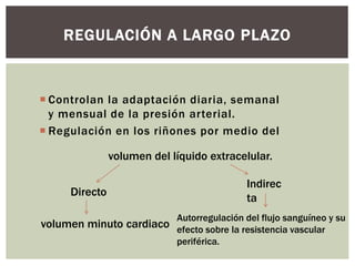  Controlan la adaptación diaria, semanal
y mensual de la presión arterial.
 Regulación en los riñones por medio del
REGULACIÓN A LARGO PLAZO
Directo
Indirec
ta
Autorregulación del flujo sanguíneo y su
efecto sobre la resistencia vascular
periférica.
volumen minuto cardiaco
volumen del líquido extracelular.
 