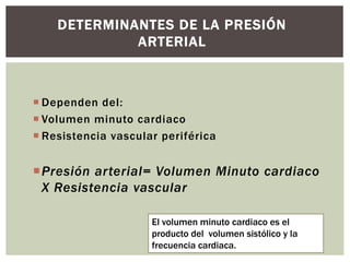  Dependen del:
 Volumen minuto cardiaco
 Resistencia vascular periférica
Presión arterial= Volumen Minuto cardiaco
X Resistencia vascular
DETERMINANTES DE LA PRESIÓN
ARTERIAL
El volumen minuto cardiaco es el
producto del volumen sistólico y la
frecuencia cardiaca.
 