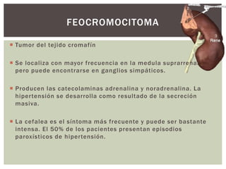  Tumor del tejido cromafín
 Se localiza con mayor frecuencia en la medula suprarrenal
pero puede encontrarse en ganglios simpáticos.
 Producen las catecolaminas adrenalina y noradrenalina. La
hipertensión se desarrolla como resultado de la secreción
masiva.
 La cefalea es el síntoma más frecuente y puede ser bastante
intensa. El 50% de los pacientes presentan episodios
paroxísticos de hipertensión.
FEOCROMOCITOMA
 