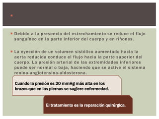  Se encuentra más frecuentemente justo distal al origen de
las arterias subclavias.
 Debido a la presencia del estrechamiento se reduce el flujo
sanguíneo en la parte inferior del cuerpo y en riñones.
 La eyección de un volumen sistólico aumentado hacia la
aorta reducida conduce el flujo hacia la parte superior del
cuerpo. La presión arterial de las extremidades inferiores
puede ser normal o baja, haciendo que se active el sistema
renina-angiotensina-aldosterona.
El tratamiento es la reparación quirúrgica.
Cuando la presión es 20 mmHg más alta en los
brazos que en las piernas se sugiere enfermedad.
 
