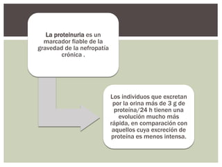 La proteinuria es un
marcador fiable de la
gravedad de la nefropatía
crónica .
Los individuos que excretan
por la orina más de 3 g de
proteína/24 h tienen una
evolución mucho más
rápida, en comparación con
aquellos cuya excreción de
proteína es menos intensa.
 