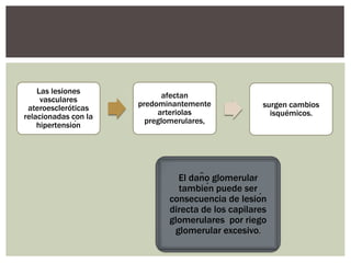Las lesiones
vasculares
ateroescleróticas
relacionadas con la
hipertensión
afectan
predominantemente
arteriolas
preglomerulares,
surgen cambios
isquémicos.
El daño glomerular
también puede ser
consecuencia de lesión
directa de los capilares
glomerulares por riego
glomerular excesivo.
 