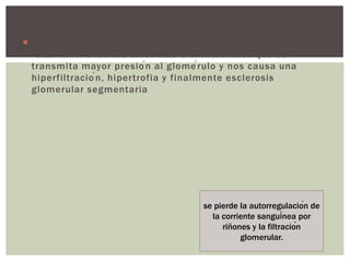  Ante la pérdida de la autorregulación del flujo sanguíneo
renal al nivel de las arteriolas aferentes hace que se
transmita mayor presión al glomérulo y nos causa una
hiperfiltración, hipertrofia y finalmente esclerosis
glomerular segmentaria
se pierde la autorregulación de
la corriente sanguínea por
riñones y la filtración
glomerular.
 
