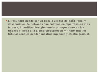  El resultado puede ser un circulo vicioso de daño renal y
desaparición de nefronas que culmine en hipertensión más
intensa, hiperfiltración glomerular y mayor daño en los
riñones y llega a la glomeruloesclerosis y finalmente los
túbulos renales pueden mostrar isquemia y atrofia gradual.
 