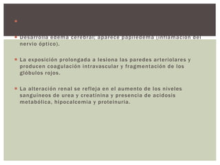  Una respuesta homeostática vasoconstricción cerebral
 Desarrolla edema cerebral; aparece papiledema (inflamación del
nervio óptico).
 La exposición prolongada a lesiona las paredes arteriolares y
producen coagulación intravascular y fragmentación de los
glóbulos rojos.
 La alteración renal se refleja en el aumento de los niveles
sanguíneos de urea y creatinina y presencia de acidosis
metabólica, hipocalcemia y proteinuria.
 