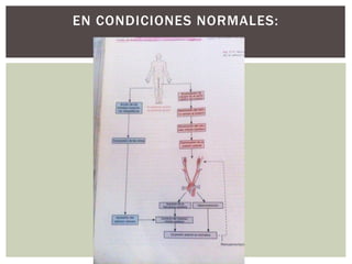 EN CONDICIONES NORMALES:
 