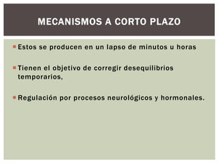 Estos se producen en un lapso de minutos u horas
 Tienen el objetivo de corregir desequilibrios
temporarios,
 Regulación por procesos neurológicos y hormonales.
MECANISMOS A CORTO PLAZO
 