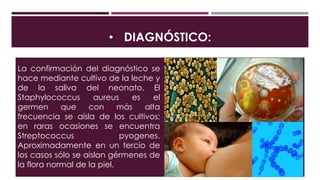 • DIAGNÓSTICO:
La confirmación del diagnóstico se
hace mediante cultivo de la leche y
de la saliva del neonato. El
Staphylococcus aureus es el
germen que con más alta
frecuencia se aísla de los cultivos;
en raras ocasiones se encuentra
Streptococcus pyogenes.
Aproximadamente en un tercio de
los casos sólo se aislan gérmenes de
la flora normal de la piel.
 