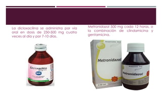 La dicloxacilina se administra por vía
oral en dosis de 250-500 mg cuatro
veces al día y por 7-10 días.
Metronidazol 500 mg cada 12 horas, o
la combinación de clindamicina y
gentamicina.
 
