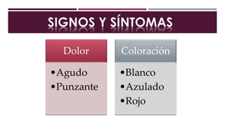 Dolor
•Agudo
•Punzante
Coloración
•Blanco
•Azulado
•Rojo
 