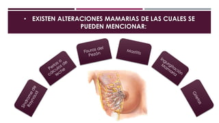 • EXISTEN ALTERACIONES MAMARIAS DE LAS CUALES SE
PUEDEN MENCIONAR:
 