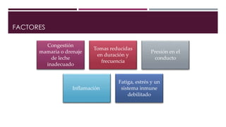 FACTORES
Congestión
mamaria o drenaje
de leche
inadecuado
Tomas reducidas
en duración y
frecuencia
Presión en el
conducto
Inflamación
Fatiga, estrés y un
sistema inmune
debilitado
 