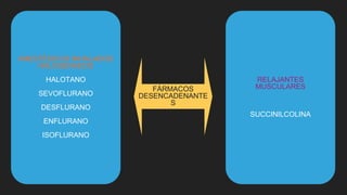 ANESTÉSICOS INHALADOS
HALOGENADOS
HALOTANO
SEVOFLURANO
DESFLURANO
ENFLURANO
ISOFLURANO
RELAJANTES
MUSCULARES
SUCCINILCOLINA
FÁRMACOS
DESENCADENANTE
S
 