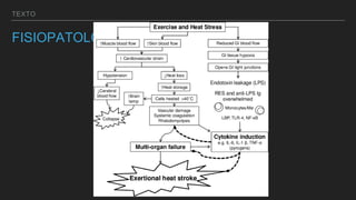 TEXTO
FISIOPATOLOGÍA
 