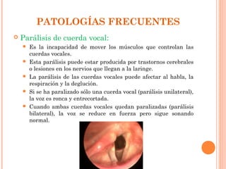 PATOLOGÍAS FRECUENTES
   Parálisis de cuerda vocal:
       Es la incapacidad de mover los músculos que controlan las
        cuerdas vocales.
       Esta parálisis puede estar producida por trastornos cerebrales
        o lesiones en los nervios que llegan a la laringe.
       La parálisis de las cuerdas vocales puede afectar al habla, la
        respiración y la deglución.
       Si se ha paralizado sólo una cuerda vocal (parálisis unilateral),
        la voz es ronca y entrecortada.
       Cuando ambas cuerdas vocales quedan paralizadas (parálisis
        bilateral), la voz se reduce en fuerza pero sigue sonando
        normal.
 
