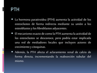 PTH 
 La hormona paratiroidea (PTH) aumenta la actividad de los 
osteoclastos de forma indirecta mediante su unión a los 
osteoblastos y los fibroblastos adyacentes. 
 El mecanismo exacto de como la PTH aumenta la actividad de 
los osteoclastos se desconoce, pero podría estar implicada 
una red de mediadores locales que incluyen actores de 
crecimiento y citoquinas. 
 Además, la PTH afecta el aclaramiento renal de calcio de 
forma directa, incrementando la reabsorción tubular del 
mismo. 
 