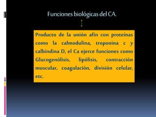 Funciones biológicas del CA. 
Producto de la unión afín con proteínas 
como la calmodulina, troponina c y 
calbindina D, el Ca ejerce funciones como 
Glucogenólisis, lipólisis, contracción 
muscular, coagulación, división celular, 
etc. 
 