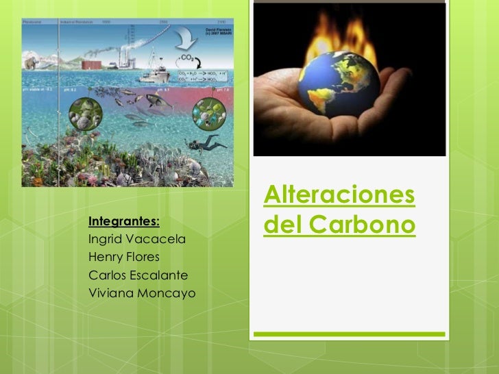 Alteraciones Del Ciclo Carbono Y Nitrogeno