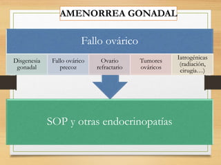AMENORREA GONADAL
SOP y otras endocrinopatías
Fallo ovárico
Disgenesia
gonadal
Fallo ovárico
precoz
Ovario
refractario
Tumores
ováricos
Iatrogénicas
(radiación,
cirugía…)
 