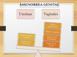 AMENORREA GENITAL
Uterinas Vaginales
 