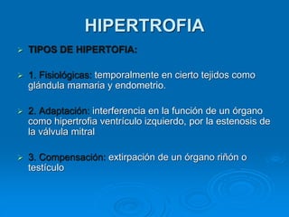 ➢ TIPOS DE HIPERTOFIA:
➢ 1. Fisiológicas: temporalmente en cierto tejidos como
glándula mamaria y endometrio.
➢ 2. Adaptación: interferencia en la función de un órgano
como hipertrofia ventrículo izquierdo, por la estenosis de
la válvula mitral
➢ 3. Compensación: extirpación de un órgano riñón o
testículo
HIPERTROFIA
 