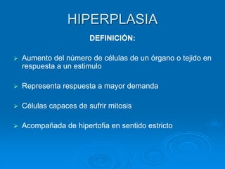 HIPERPLASIA
DEFINICIÓN:
➢ Aumento del número de células de un órgano o tejido en
respuesta a un estimulo
➢ Representa respuesta a mayor demanda
➢ Células capaces de sufrir mitosis
➢ Acompañada de hipertofia en sentido estricto
 