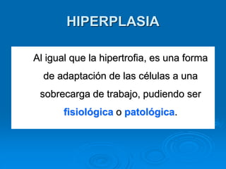 HIPERPLASIA
Al igual que la hipertrofia, es una forma
de adaptación de las células a una
sobrecarga de trabajo, pudiendo ser
fisiológica o patológica.
 