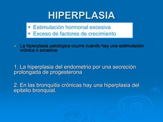 ➢ La hiperplasia patológica ocurre cuando hay una estimulación
crónica o excesiva
1. La hiperplasia del endometrio por una secreción
prolongada de progesterona
2. En las bronquitis crónicas hay una hiperplasia del
epitelio bronquial.
HIPERPLASIA
▪ Estimulación hormonal excesiva
▪ Exceso de factores de crecimiento
 