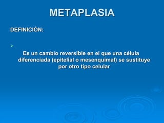 METAPLASIA
DEFINICIÓN:
➢
Es un cambio reversible en el que una célula
diferenciada (epitelial o mesenquimal) se sustituye
por otro tipo celular
 