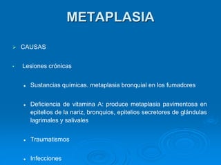 ➢ CAUSAS
• Lesiones crónicas
⚫ Sustancias químicas. metaplasia bronquial en los fumadores
⚫ Deficiencia de vitamina A: produce metaplasia pavimentosa en
epitelios de la nariz, bronquios, epitelios secretores de glándulas
lagrimales y salivales
⚫ Traumatismos
⚫ Infecciones
METAPLASIA
 